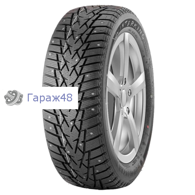 Doublestar Winterking DW01 195/55 R16 87T